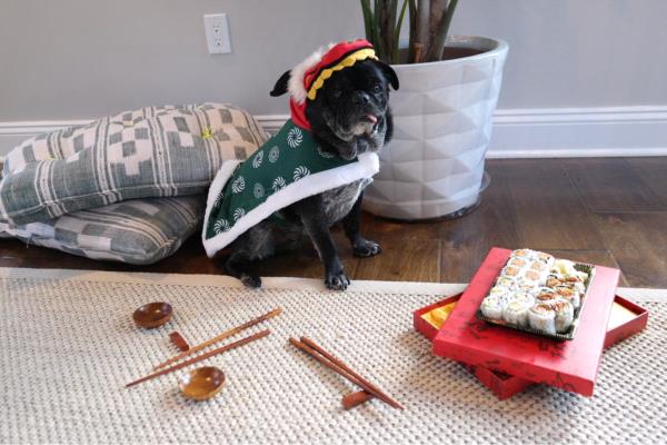 /images/uploads/pug nation rescue of los angeles/2018pugnation/entries/6396thumb.jpg